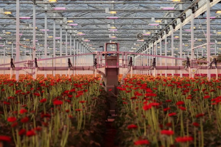 'Entomatic keerpunt in de bestrijding van spint' 'Entomatic keerpunt in de bestrijding van spint'