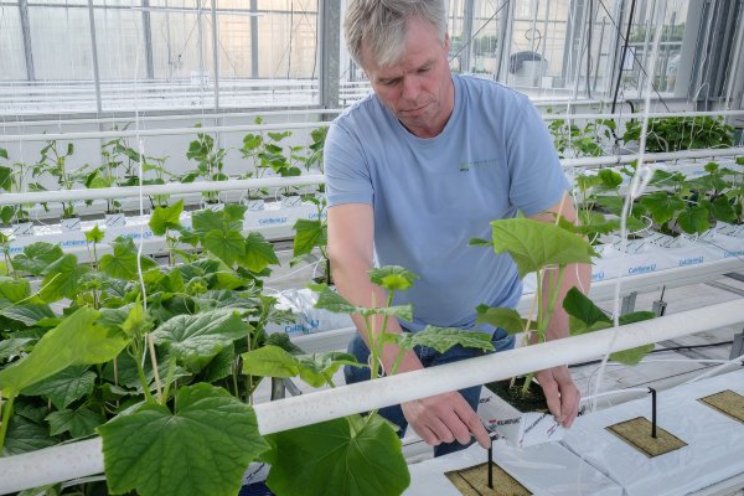 Aanvraag Nationaal Groeifonds goedgekeurd Aanvraag Nationaal Groeifonds goedgekeurd