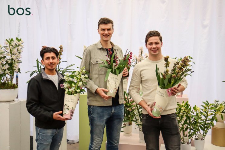 Bos. lanceert nieuwe uitstraling orchideeën Bos. lanceert nieuwe uitstraling orchideeën