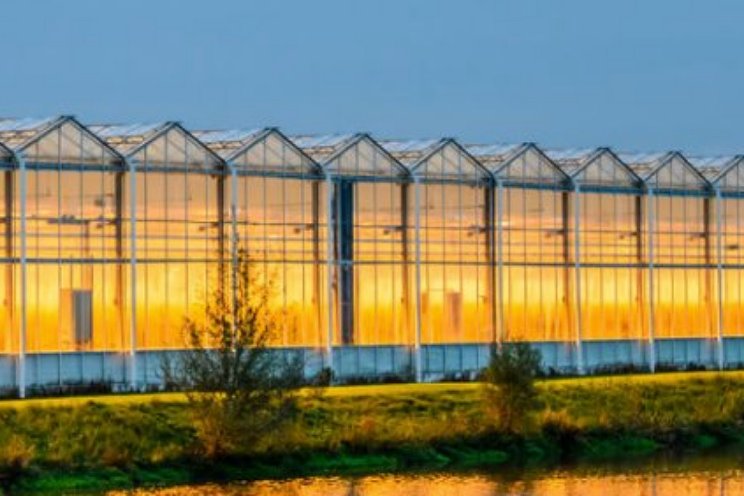 Meer CO2-emissie sector, verbruik per m2 gedaald Meer CO2-emissie sector, verbruik per m2 gedaald
