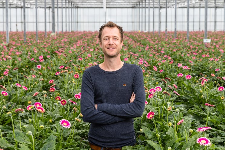 Minder chemie in gerbera met TRICHOcontrol Minder chemie in gerbera met TRICHOcontrol