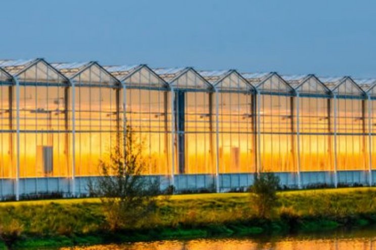 CO2-emissie tuinbouw in 2022 ver onder plafond CO2-emissie tuinbouw in 2022 ver onder plafond