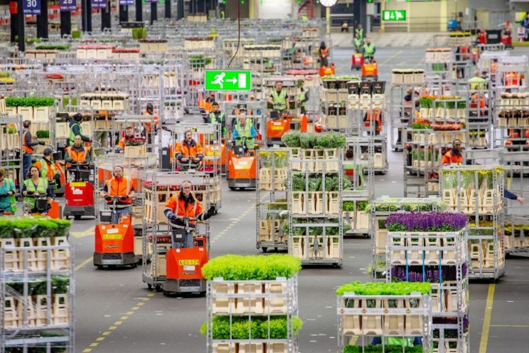 Royal FloraHolland maakt koperstarieven bekend Royal FloraHolland maakt koperstarieven bekend