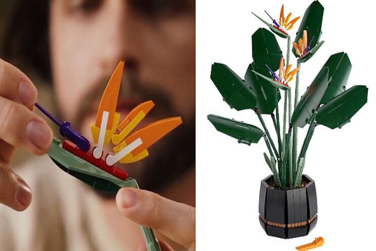 Strelitzia van Lego