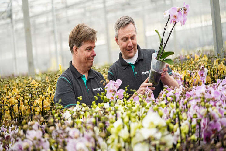 Nieuw lid voor Decorum Nieuw lid voor Decorum